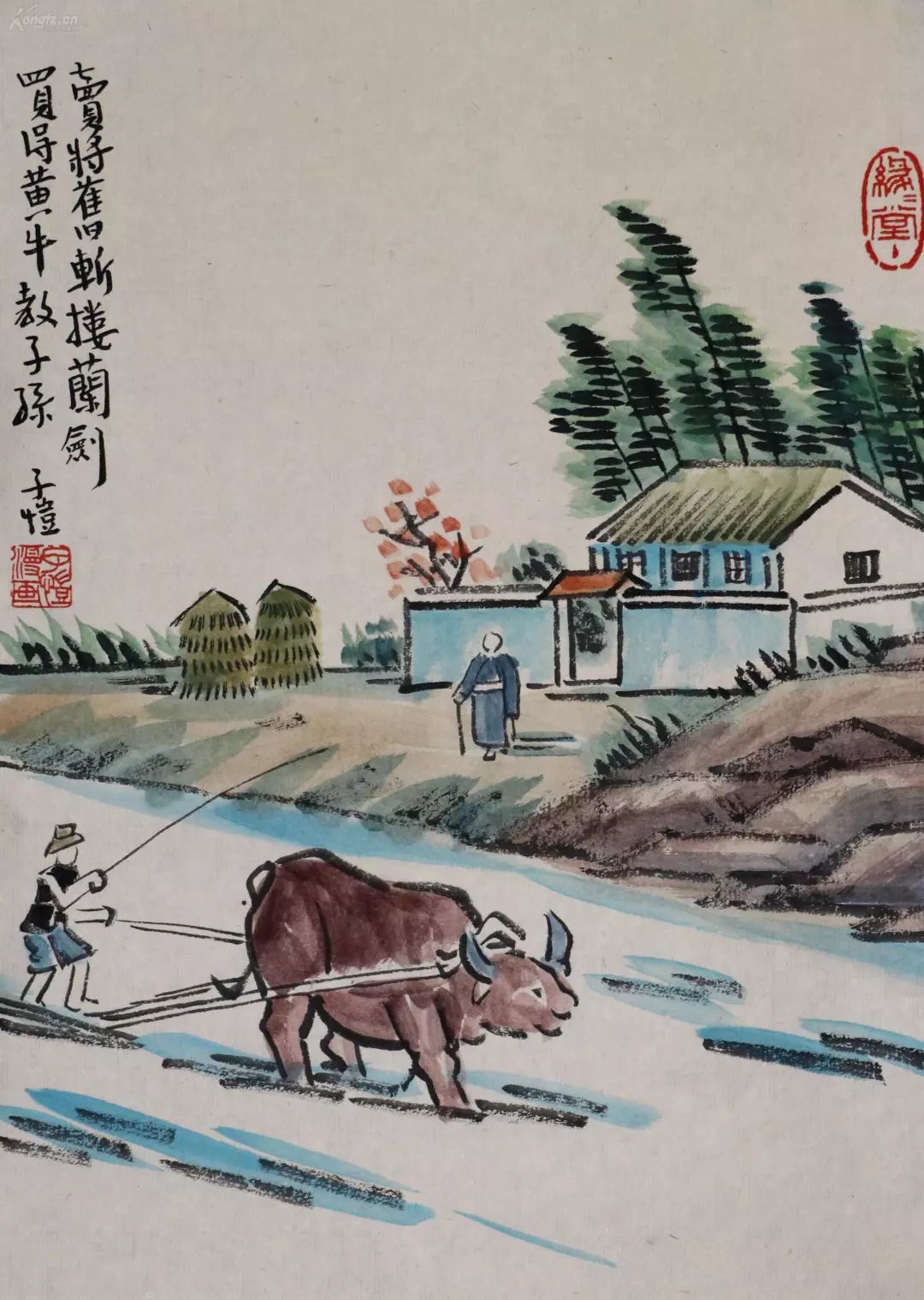 图片